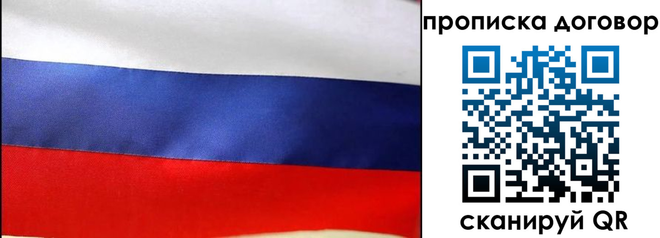 прописка гарантия в Волжске